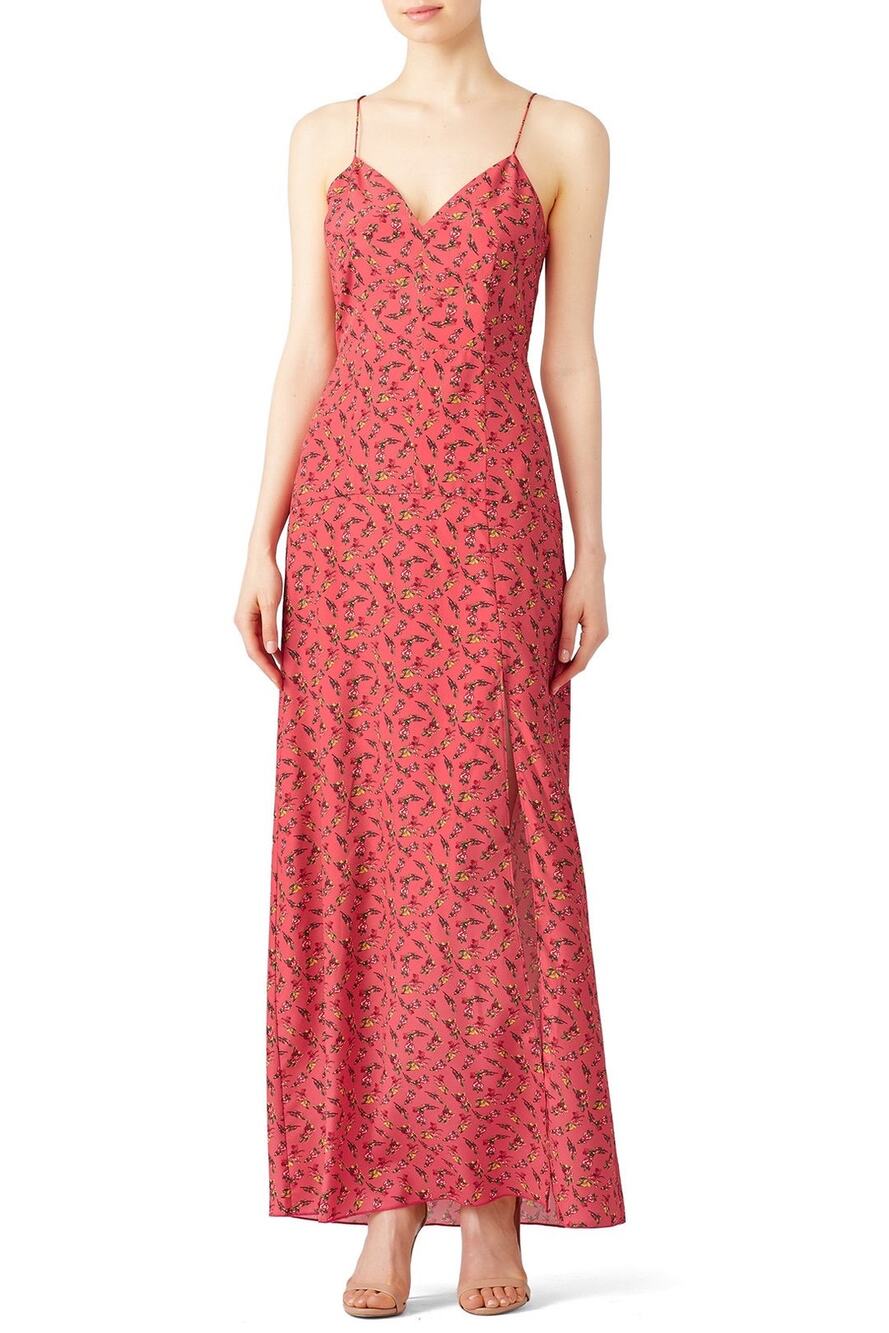 Slate + Willow Rose Vine Pink Floral Print Sleeveless Maxi Dress Size 0